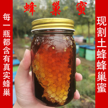 蜂农自产蜂巢蜜 百花蜜洋槐蜜深山养蜂