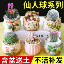 �������������ϵ��С�����ͺ��ļ��_���k���������ݗ�����ֲ��