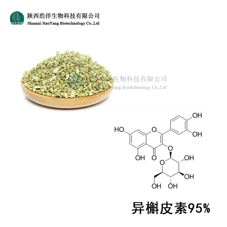 异槲皮素95% 槐米提取物 异槲皮苷 品质稳定 现货直供 含运