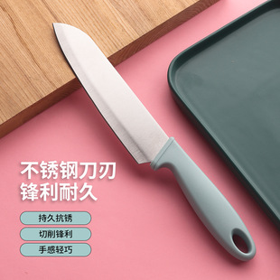 Stainless Steel Fruit Knife for Peeling and Slicing Kitchen Household Potato and Apple Peeling Knife Portable Knife Set Anti-Slip and Anti-Rust