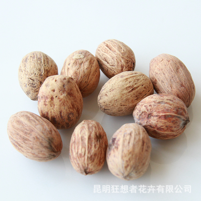 Màu cơ bản của xoài gỗ (một túi 20g, khoảng 4-5 chiếc)