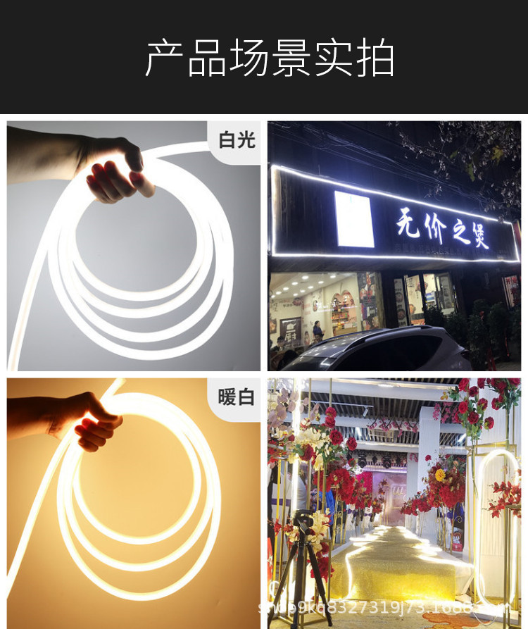 白光.jpg