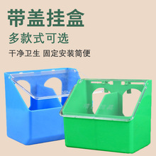 鸽子食盒带盖挂笼鸟喂食器 信鸽用品食具三孔防撒鸟食盒水盒