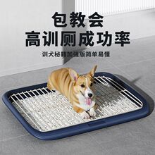 ����������С����Ȯ���茙��������Ʒ�F�W��̩��