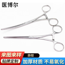 �c�A�֏��^��������Q��23cm��ǻ�R���g��е�Q���P�YI�ÿ����c�Q