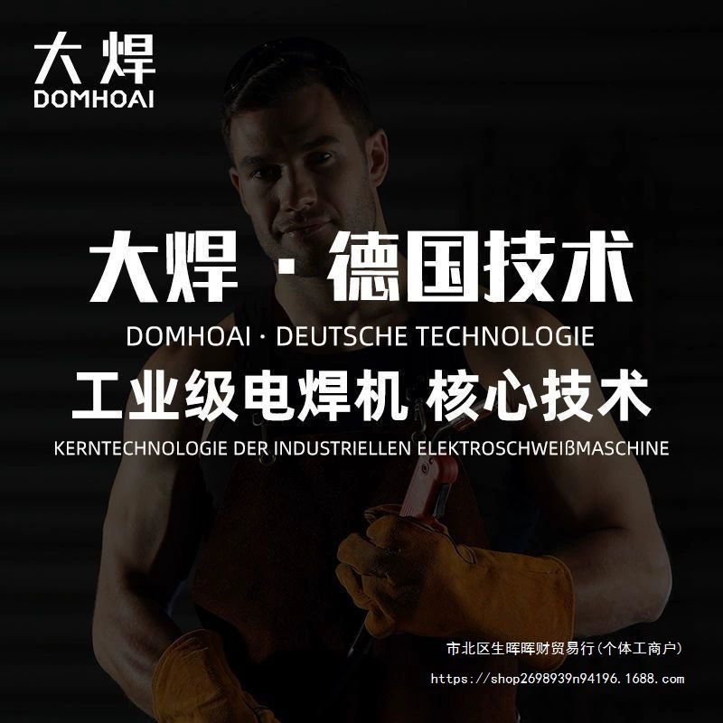 Large welding WS-250 arc welding machine German technology 220V home small stainless steel dual-use multi-function welding machine