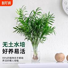 ����Ҭ��ˮ��ֲ�︻�F�����Կ͏d�҃���������B�������ļ��̨