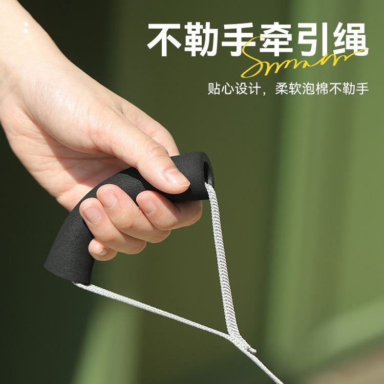 Correa de perro gato perro cuerda chaleco correa de pecho transpirable cómodo pequeño perro de peluche perro de mascota cuerda para caminar