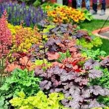 �\���^�~�Gֲ���ԽM�϶�ɫ�ײʹ�����������~����ͺ����ܺ��B