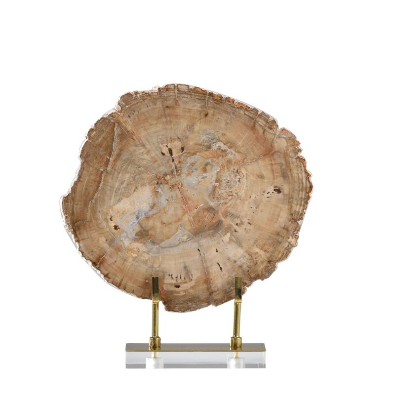 Modern Light Luxury Song-Style Wabi-Sabi Desktop Wood Fossil High-End Niche Home Decoration Ornaments for Guesthouses and Clubs