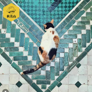 �Gɫ��Ƭƴ��Ħ���ɴu ���W�l���gС���u�̨�N�����شu