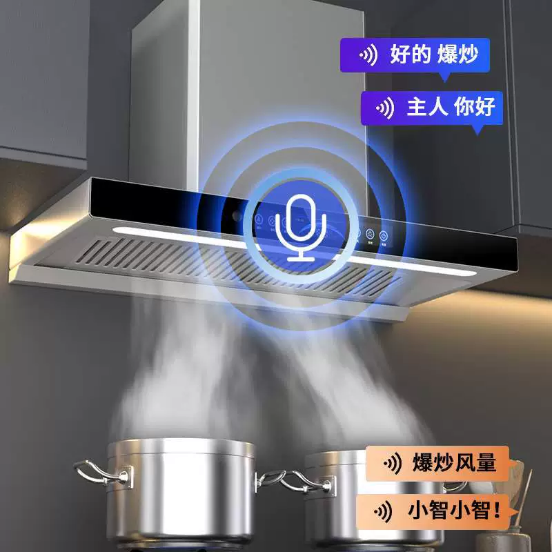 新王厨浩泰牌抽油烟机 顶吸 变频 大吸力 家用厨房油烟分离排烟机