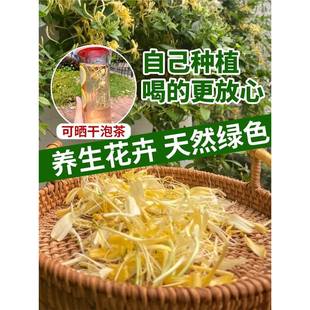 ��ʳ�ý��y��������㻨�������̨ͥԺ�ļ�����ֲ���Ϙ�������