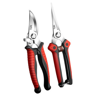 �޼���֦���ü�����֦����SK5䓈@�ֈ@ˇ��������Ӽ�֦���߼���
