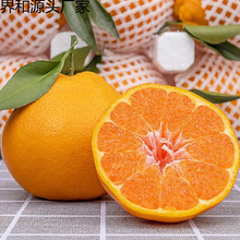 �Ĵ��ҰҸ̴�Ҋ������ˮ��������̲�֪���˹���������10����]