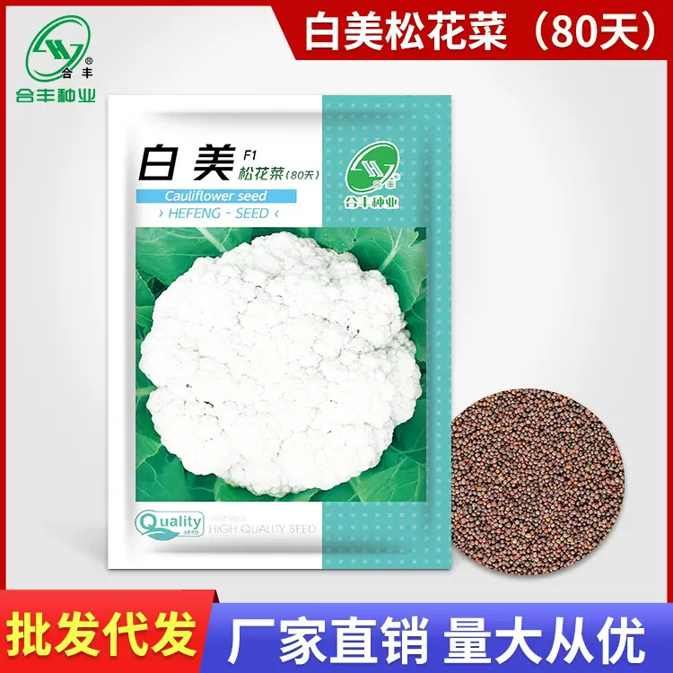 白美松花菜种子青梗花椰菜种籽白色西蓝花种孑花菜种子蔬菜籽批发