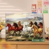 Horse 8