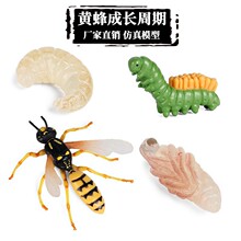 �羳��ͯ�׃��@�ƽ̷��������L�������xģ������S������֩��
