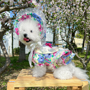 PETCIRCLE����Ȧ���ﹷ��؈�·�С��Ȯ��Ȯ���Ī�λ��@�B��