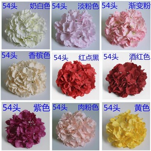 ���滨�ٻ����� �����^54Ƭ��佑�� ��c������ˇ�廨����