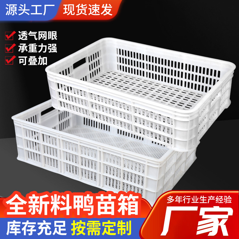 鸭苗箱厂家批发多规格鸭苗筐禽类周转箱物流禽类运输周转鸭苗箱