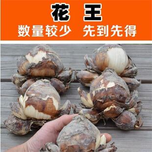 �����ΰ�/�Ͱ� ����ԭ�a��ˮ�ɻ��N���������ˮ�Bˮ���������