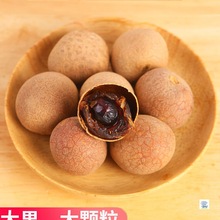 广东桂圆干特级大果纯天然高州桂圆肉干带壳龙眼干泡水2025年新货