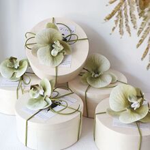 YֶYŮպС߼ЌľаbϲǺɭϵ