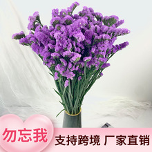 羳ҲݸɻdiyϰĔzߔ[ˇɻl