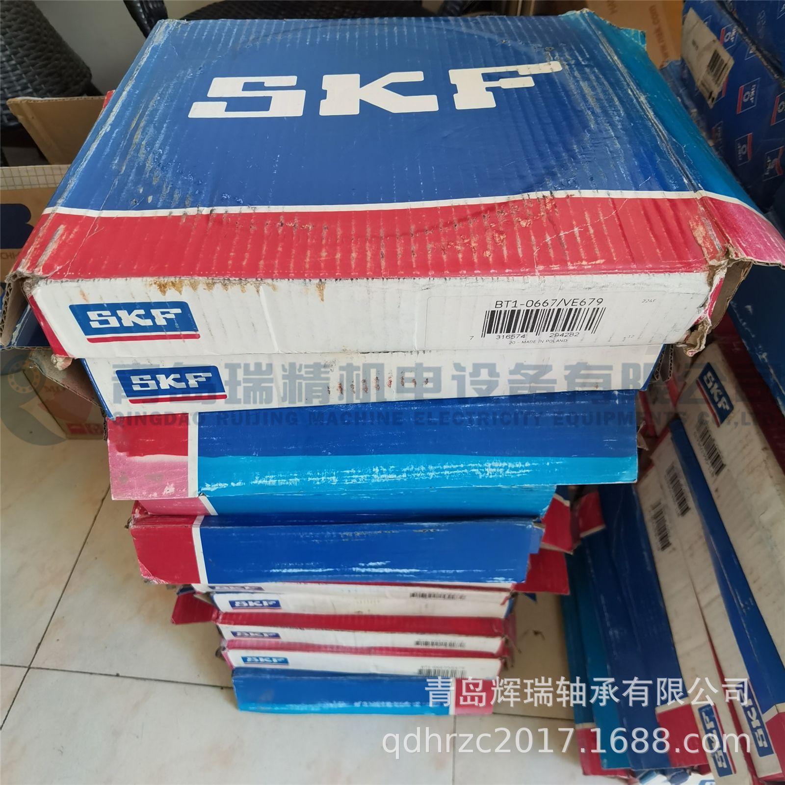 SKF BT1-0667-VE679 (2).jpg