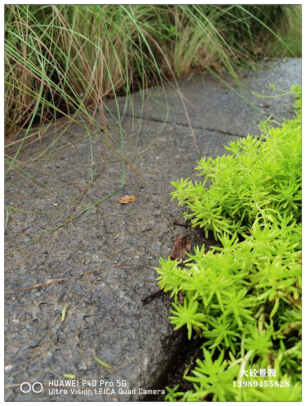 PC老石板青石武康石人造仿古石材混凝土预制复古石板1100*470*60