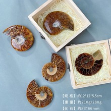 ��Ȼ�߲��ݹ����ﻯʯ��ʯ�˱��k���Ҕ[������V�ﺆ�s�r���b�Ʒ