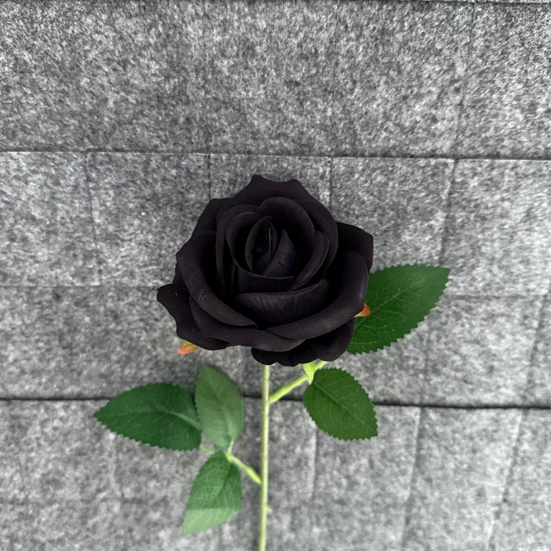 검은색