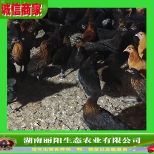 ���۾G�����u1.5��2�����u�����u����ֱ��ɽ�ط��B��ɽ�u����ֱ��