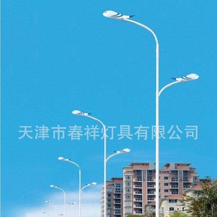 Manufacturer Produces Street Light Pole 10m Double Arm Pole 12m High and Low Arm Pole Double Pick Rod High Pressure Sodium Lamp Lighting Street Light Pole