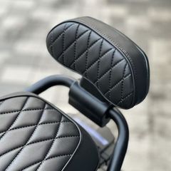 适用小牛u系奇迹牛九号MZmix/nz/f2z/m95c/f90改装九号网格靠背