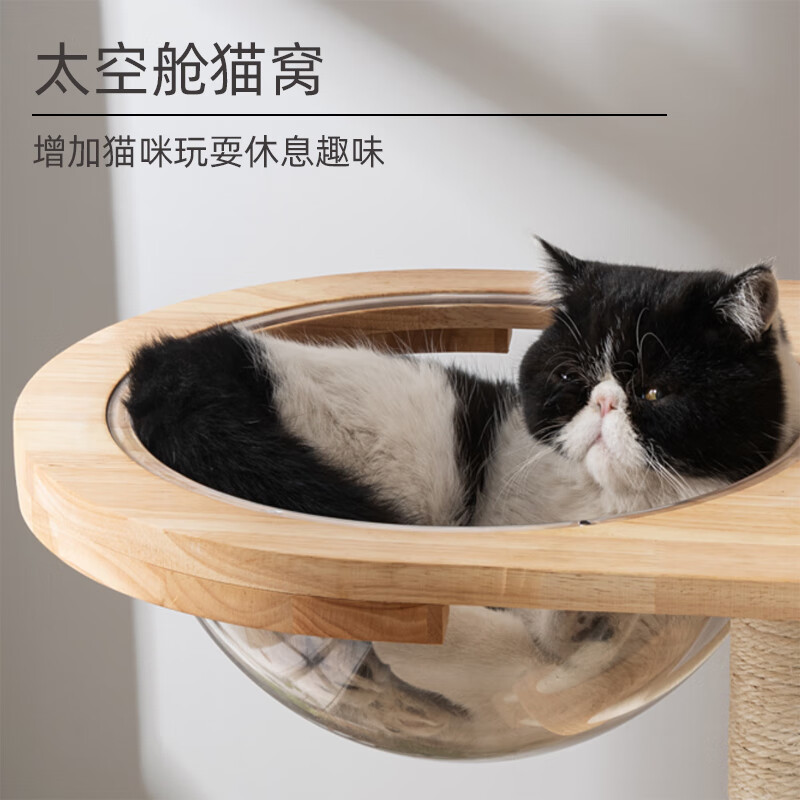 Rack de escalada para gatos, nido de gatos integral resistente al arañazo, tablero de agarre de gatos duradero y estable, juguetes para gatos, rack de árboles para gatos.