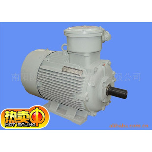 Factory direct YB2-250M-4-55KW flameproof three-phase asynchronous motor/explosion-proof motor