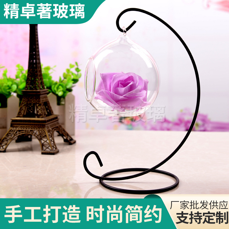 Florero colgante de bola transparente, mini paisaje hidropónico, ideal para suculentas y decoración