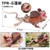 BY8036 soft glue TPR material-cape lizard