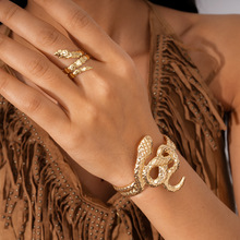 �羳ins�䵭�L���������_�ڽ�ָ�F��С���߼����֭hͨ�ڕr�����