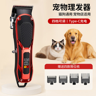 ������Ƽ�����؈�����ӹ�����ë��������ë�����������l�����b