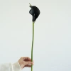 Black, small