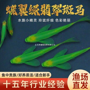 �����G�����R�~�^�p�~�Ꭷ��ˮ�~�û��B�~���ͻ�С�ͻ��w�߲��~