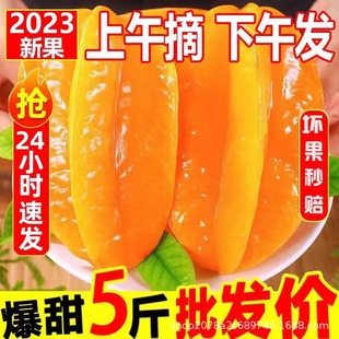 �������������ˮ���������������r�����r�t���P���������Ұ��]