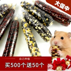 兔子主粮;其他小宠用品;仓鼠生活用品