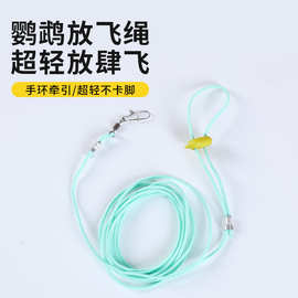 鹦鹉放飞绳超轻小鸟牵引绳脚环不伤脚虎皮牡丹玄凤专用遛鸟飞行绳