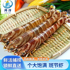 水产干货类;鱼类;其他水产加工