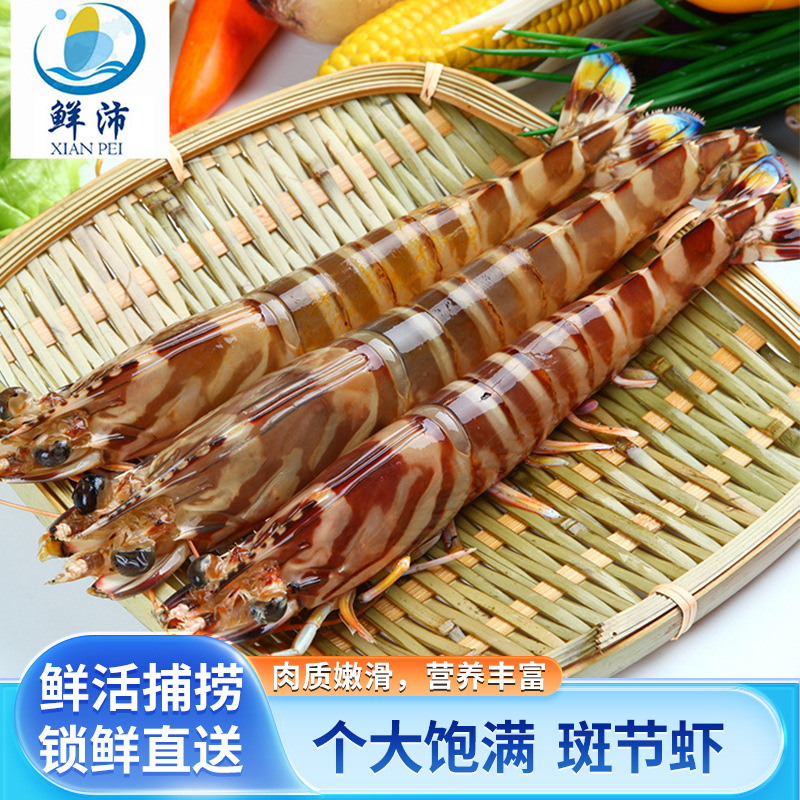 东山斑节虾鲜活特大新鲜九节虾350g盒装鲜活速冻非基围虾3-4只