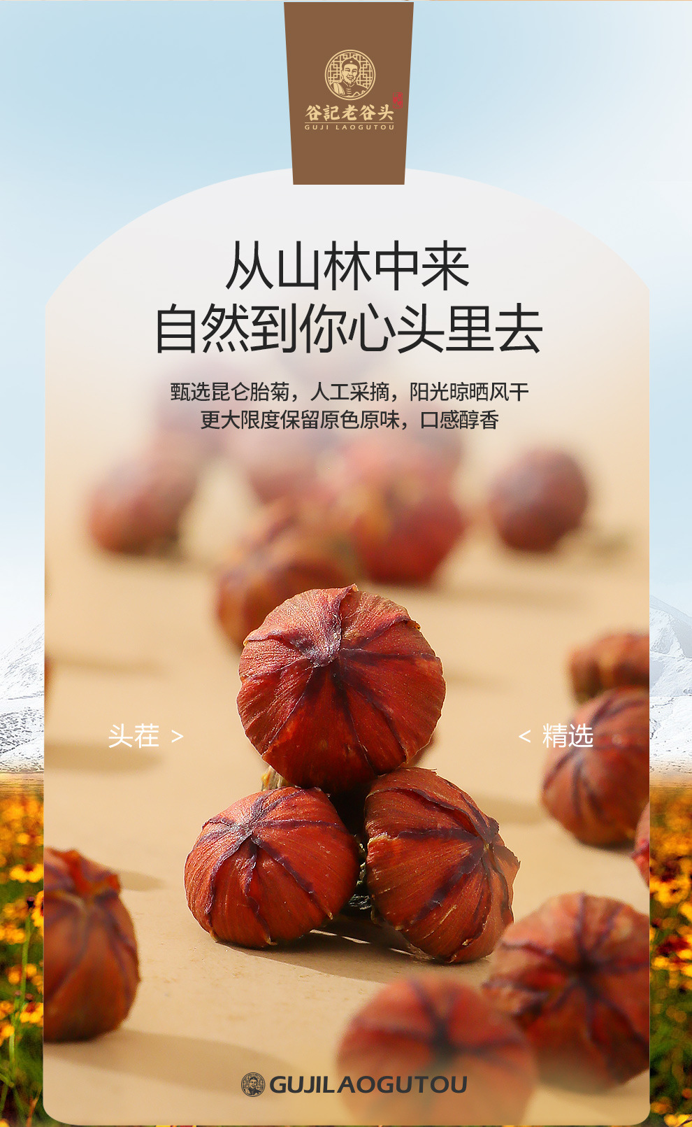 Kunlun Snow Chrysanthemum Bud Tea Dried Flower Buds for Daily Herbal Tea 135g overview